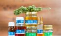 Creso Pharma Future Seems Bright After The Legalization Of Recreational Cannabis In Canada