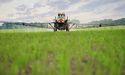 Corn Prices See Modest Gains in Tuesday's Trade