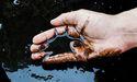 Is This Drop In Canadian Oil Stock A Red Flag?