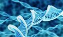  Biotech Giant, Dimerix Obtains R&D Tax Rebate For FY18 
