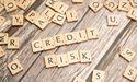  The Role of Counterparty Credit Risk in Investment Decision-Making 