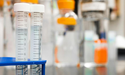 EarlyBirds: Guiding R&D Leaders Toward Smarter, Faster Innovation