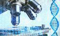 EarlyBirds’ innovation-rich ecosystem can be leveraged by the booming biotech industry