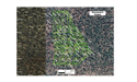 Ark Mines (ASX:AHK) delivers maiden JORC resource at Gunnawarra nickel-cobalt project