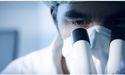 Cynata’s (ASX: CYP) DFU clinical trial to continue as planned, says DSMB