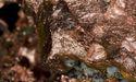 Empire Resources (ASX:ERL) gets initial AC drill results for Penny’s Gold Project, final results awaited
