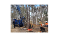 Vertex (ASX:VTX) announces drill results for Red Hill and Hargraves