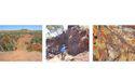  Cooper Metals’ (ASX:CPM) September quarter features high-octane exploration activities at Mt Isa 