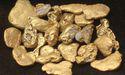 Musgrave Minerals (ASX:MGV) hits bonanza gold grades, shares rise over 10%