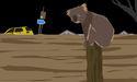 Flood relief payment: How to claim AU$1000 for disaster recovery
