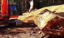  Freehill Mining Shares Investor Presentation; Stock Plummets 16.67% 