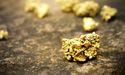 Is Perpetua Resources (TSX:PPTA) Aligning With The TSX Composite And TSX Completion Index In The Materials Sector?