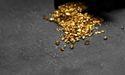  Wildcat Gold Rally Draws Focus on Insider Moves 