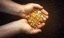  Liberty Gold Focus on Idaho Project Progress and Market Outlook 