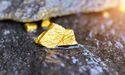 Spanish Mountain Gold Approaches Conclusion of 2024 Exploration Program