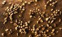  Dateline Resources within All Ordinaries gold exploration landscape 