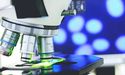 Health Talk: IBX, CYC, VLS, RCE, VHT, NXS