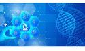  Immuron (ASX: IMC): Advancing Gastrointestinal Product Portfolio Across Multiple Markets 