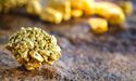 Let’s Watch The Upcoming IPO Of Gold Explorer Expose Resources Limited