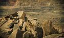  ASX 200 Mining Shares Roar Back as Commodity Rally Deepens 