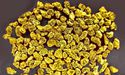 Kairos Discovers More Gold Nuggets In The Pilbara And Share Price Hiked