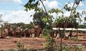  Lindian Resources Announces Key Drilling Updates 