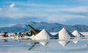  What is the projected lithium price for 2024? 