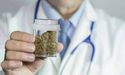  MGC Pharmaceuticals Signed Two Agreements With Health House And Cannvalate 