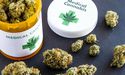  Althea Group Announces Achievement Of 300 Patients: What Market Players Need To Know 