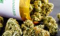 Althea Group Receives Its Largest Medicinal Cannabis Shipment From Canadian Aphria Inc