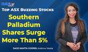  Kalkine : Why are Southern Palladium and Renergen shares surging on ASX today 