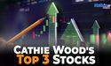  Which Top 3 Cathie Wood Stocks To Explore 