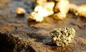 Is Triple Flag Precious Metals Facing Collapse?