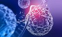  Noxopharm Advances One-Step up on Its Cancer Management Program 