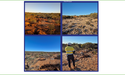  Platina Resources’ (ASX:PGM) September Quarter: Strategic Acquisitions and Exploration Progress 