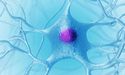 The Price Of Phosphagenics Tumbled By 89% After The Company Loses The Court Case