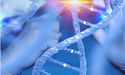 Phase 1b study of Prescient Therapeutics’ (ASX: PTX) PTX-100 shows excellent safety and promising efficacy in TCL patients