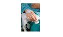  The Financial Impact of Chronic Illness: Mesothelioma as a Case Study 