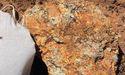 Surefire (ASX:SRN) reports “significant anomalous” rare earth results at Perenjori