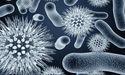 Invion (ASX:IVX) reports major Photosoft<sup>TM</sup> milestones against infectious diseases in the latest quarter