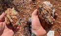 Eye on lithium and gold, Alchemy (ASX:ALY) reports action-packed December quarter