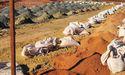 Musgrave (ASX:MGV) jumps on assays revealing new high-grade lode along Break of Day