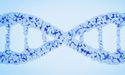 Prescient Therapeutics (ASX:PTX) reports progress in cancer studies during H1 FY23