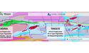 Loyal Lithium (ASX:LLI) concludes aeromagnetic survey at Trieste Lithium Project