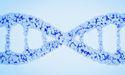 Prescient Therapeutics (ASX:PTX) to showcase CellPryme and OmniCAR data at ISCT event in Paris