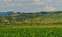  Aguia Resources (ASX:AGR) releases update on Brazilian legal battle 