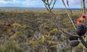 Jindalee Resources (ASX:JRL) issues update on separation of Australian assets