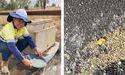  Australasian Metals (ASX:A8G) delineates high-grade gold at Capella, shares jump 