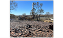 Black Canyon (ASX: BCA) unearths manganese mineralisation from RC drilling at Balfour, shares jump
