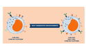 Chimeric Therapeutics (ASX: CHM) shares encouraging in vitro data for next-gen NK cell platform
